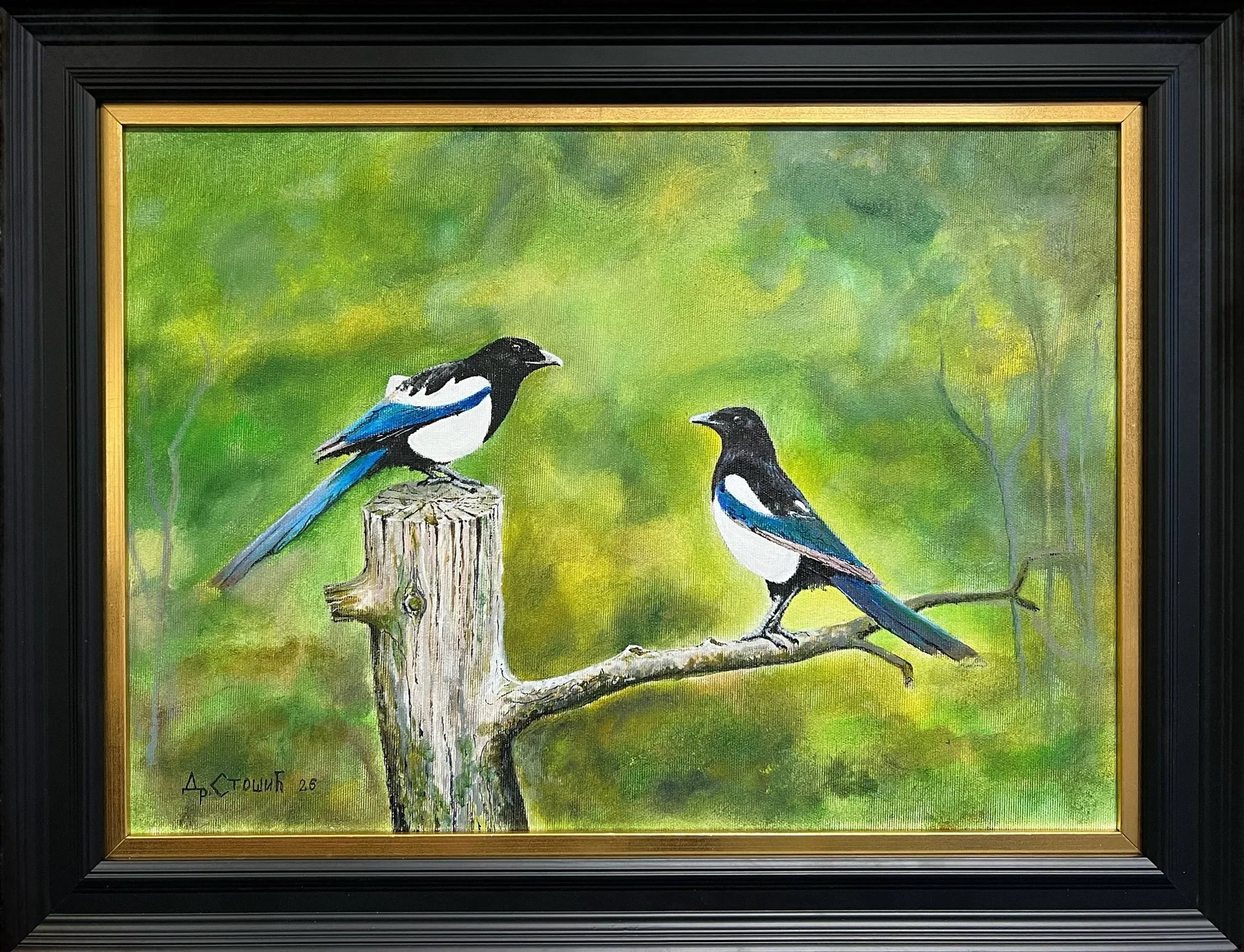 Свраке — оригинална слика, акрил на платну, 50 × 35 цм, Драган Стошић